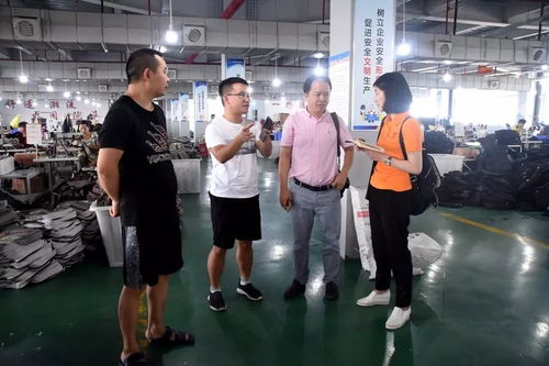 江蘇臺攝制組聚焦大龍，專題片攝制展現(xiàn)獨特風(fēng)采